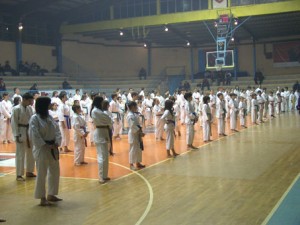 karate8